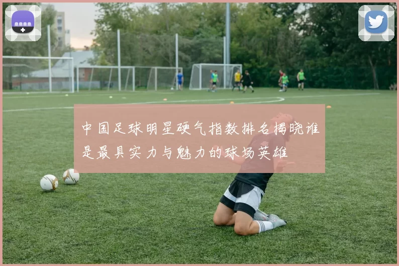 中国足球明星硬气指数排名揭晓谁是最具实力与魅力的球场英雄