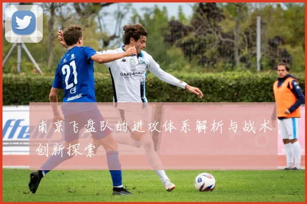 南京飞盘队的进攻体系解析与战术创新探索