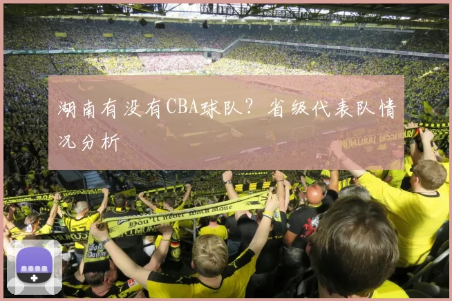 湖南有没有CBA球队？省级代表队情况分析