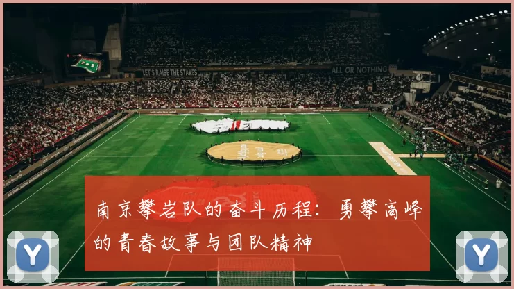 南京攀岩队的奋斗历程：勇攀高峰的青春故事与团队精神