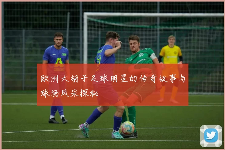 欧洲大胡子足球明星的传奇故事与球场风采探秘