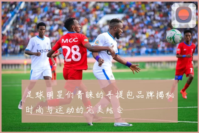 足球明星们青睐的手提包品牌揭秘时尚与运动的完美结合