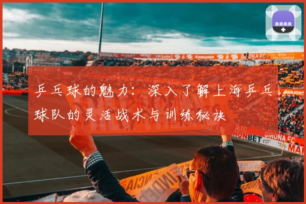 乒乓球的魅力：深入了解上海乒乓球队的灵活战术与训练秘诀