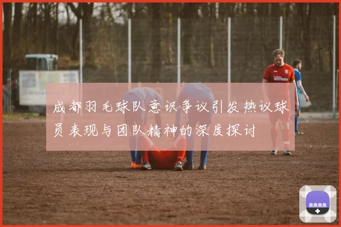 成都羽毛球队意识争议引发热议球员表现与团队精神的深度探讨