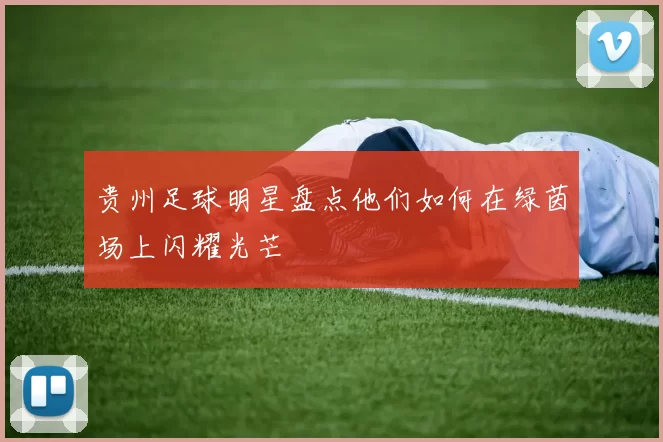贵州足球明星盘点他们如何在绿茵场上闪耀光芒