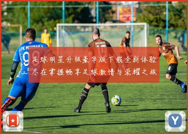 足球明星升级豪华版下载全新体验尽在掌握畅享足球激情与荣耀之旅