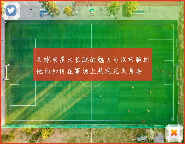 足球明星大长腿的魅力与技巧解析他们如何在赛场上展现完美身姿
