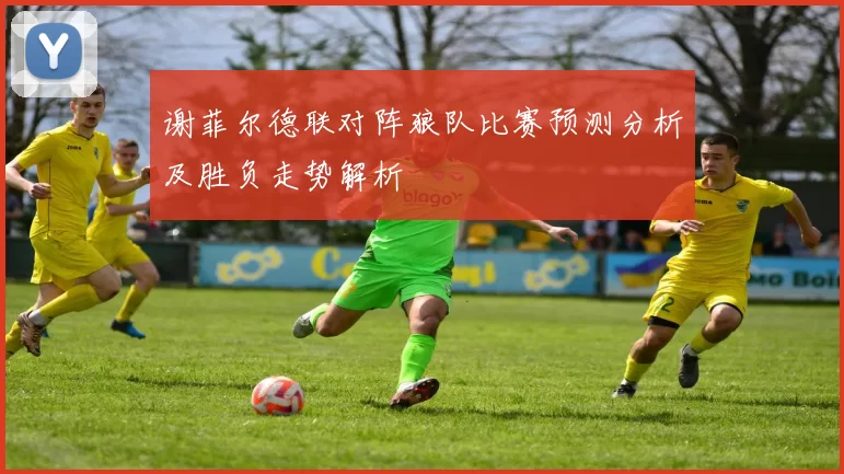 谢菲尔德联对阵狼队比赛预测分析及胜负走势解析