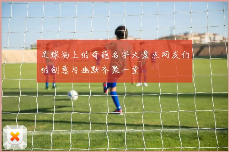足球场上的奇葩名字大盘点网友们的创意与幽默齐聚一堂