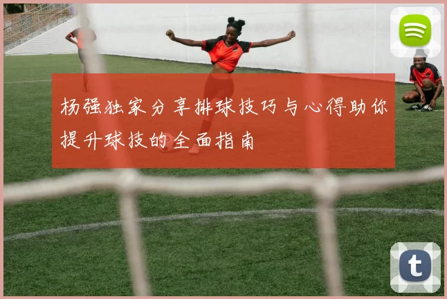 杨强独家分享排球技巧与心得助你提升球技的全面指南