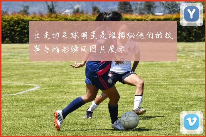 出走的足球明星是谁揭秘他们的故事与精彩瞬间图片展示