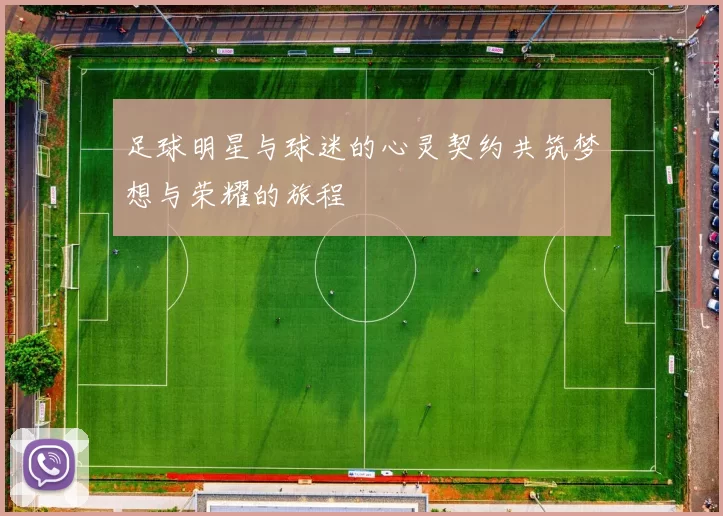 足球明星与球迷的心灵契约共筑梦想与荣耀的旅程