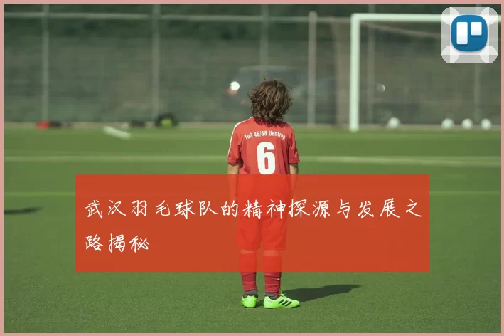 武汉羽毛球队的精神探源与发展之路揭秘