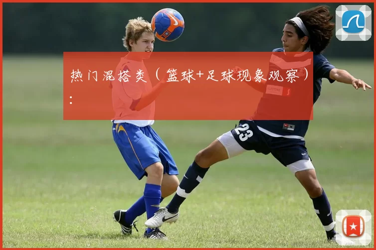 热门混搭类（篮球+足球现象观察）：