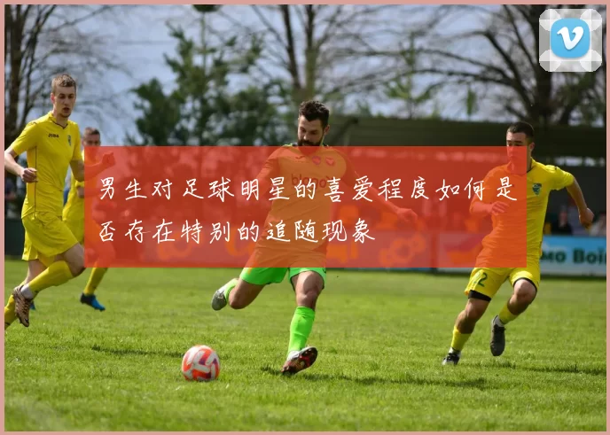 男生对足球明星的喜爱程度如何是否存在特别的追随现象