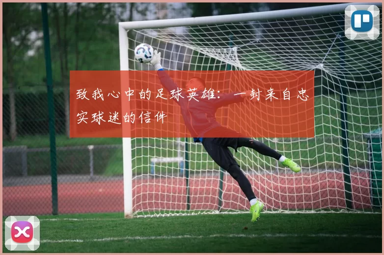 致我心中的足球英雄：一封来自忠实球迷的信件