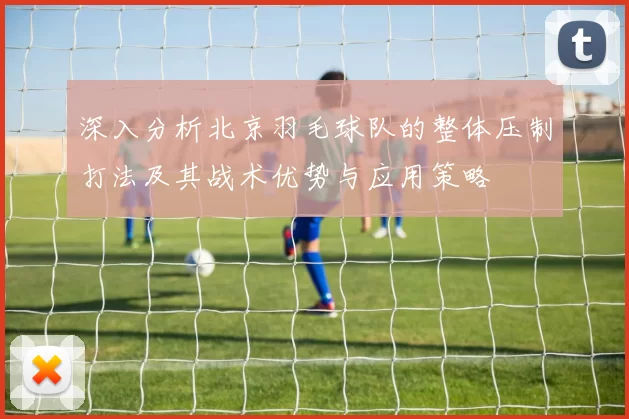 深入分析北京羽毛球队的整体压制打法及其战术优势与应用策略