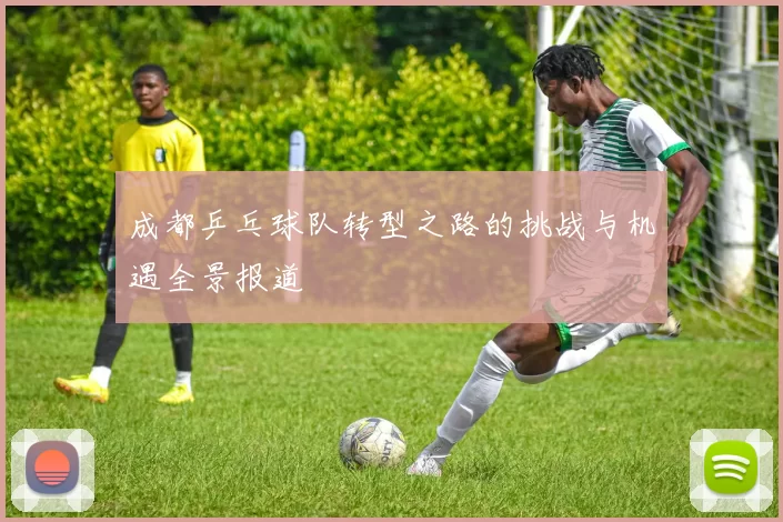 成都乒乓球队转型之路的挑战与机遇全景报道