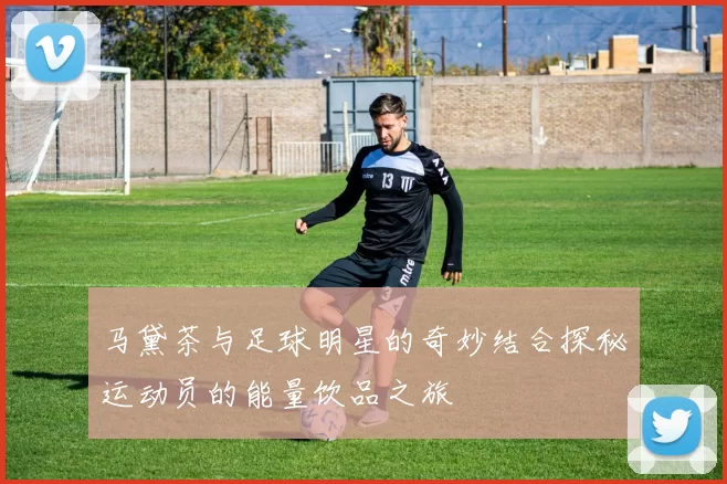 马黛茶与足球明星的奇妙结合探秘运动员的能量饮品之旅
