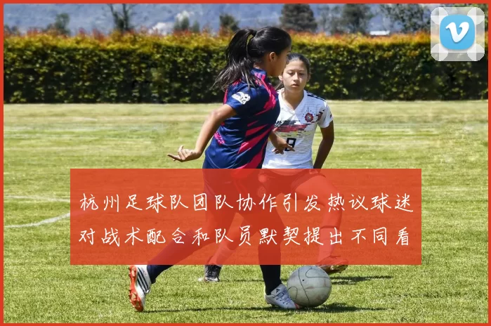 杭州足球队团队协作引发热议球迷对战术配合和队员默契提出不同看法