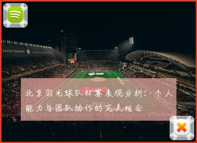 北京羽毛球队杯赛表现分析：个人能力与团队协作的完美结合